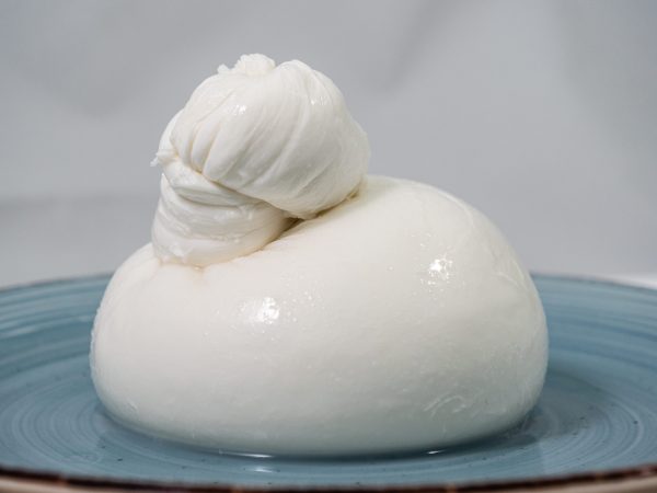 burrata