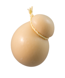 provolone