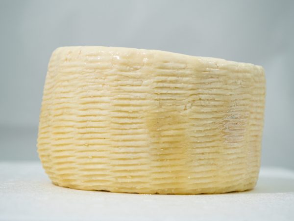 pecorino fresco