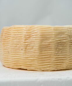 pecorino semi stagionato