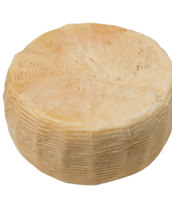pecorino semi stagionato